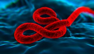 ZMappTM for Ebola Treatment