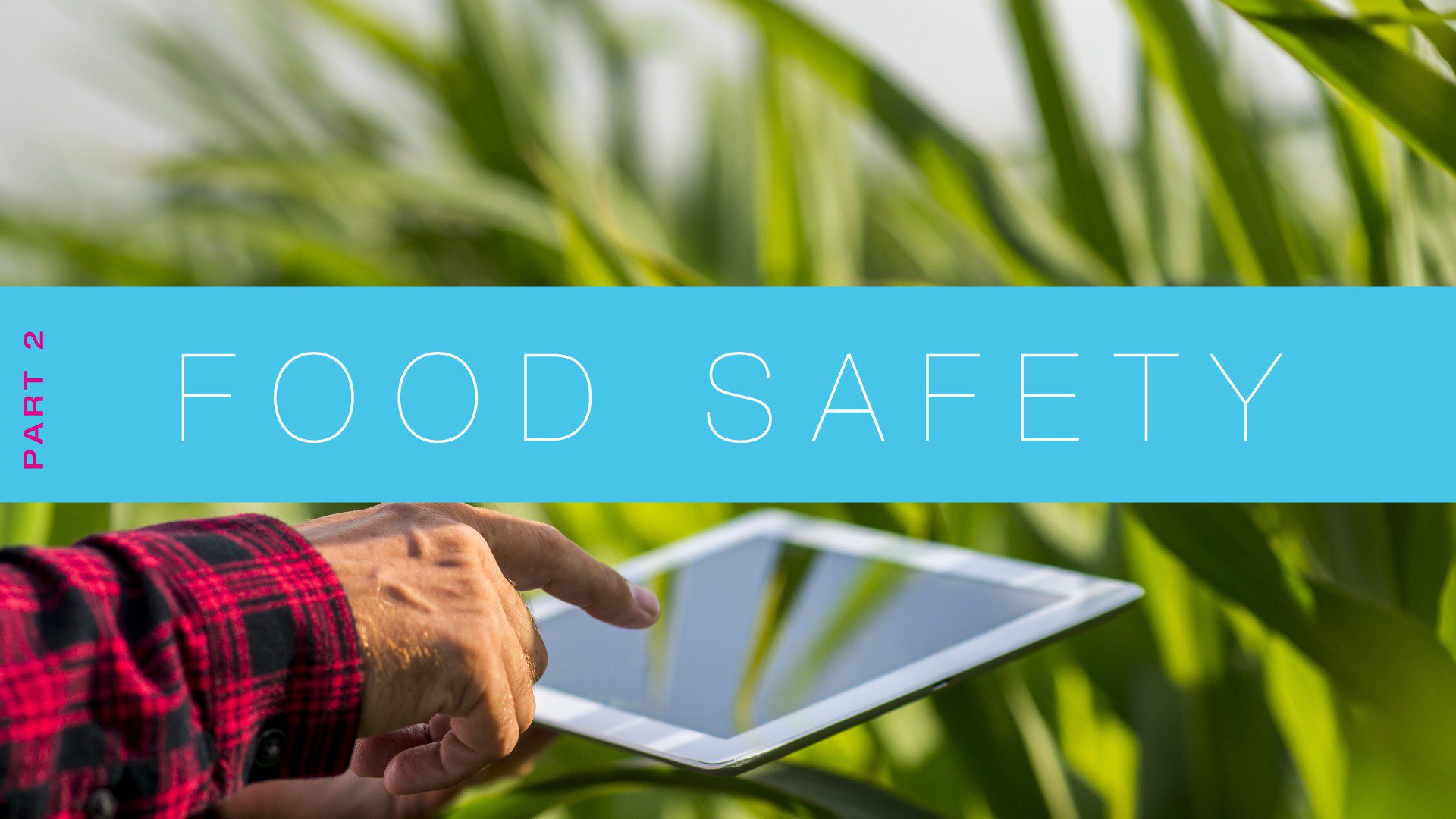 Having trouble selling food safety solutions? Read this — it will help.