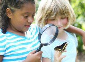 girls-butterfly-istock_000022945218-490x356_0-275x200