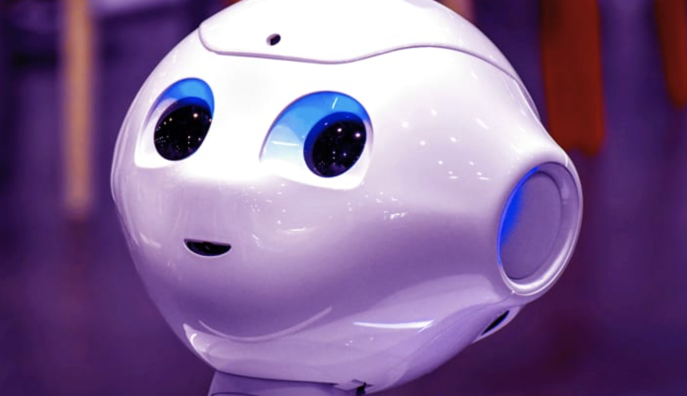 What is a social robot?