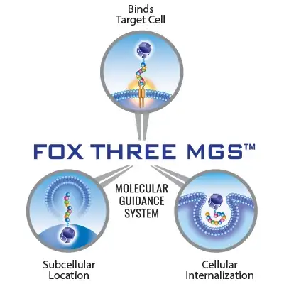 FOX-Three-MGS-diagram-