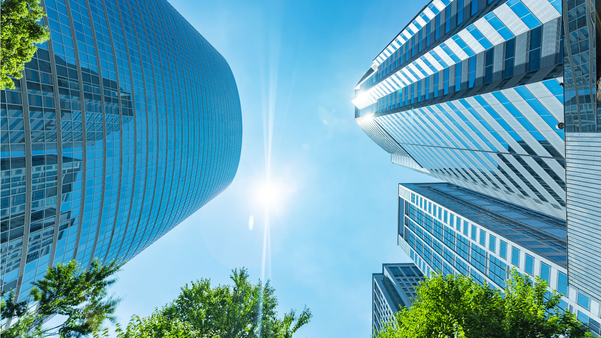 Gleaming skyscrapers and trees.