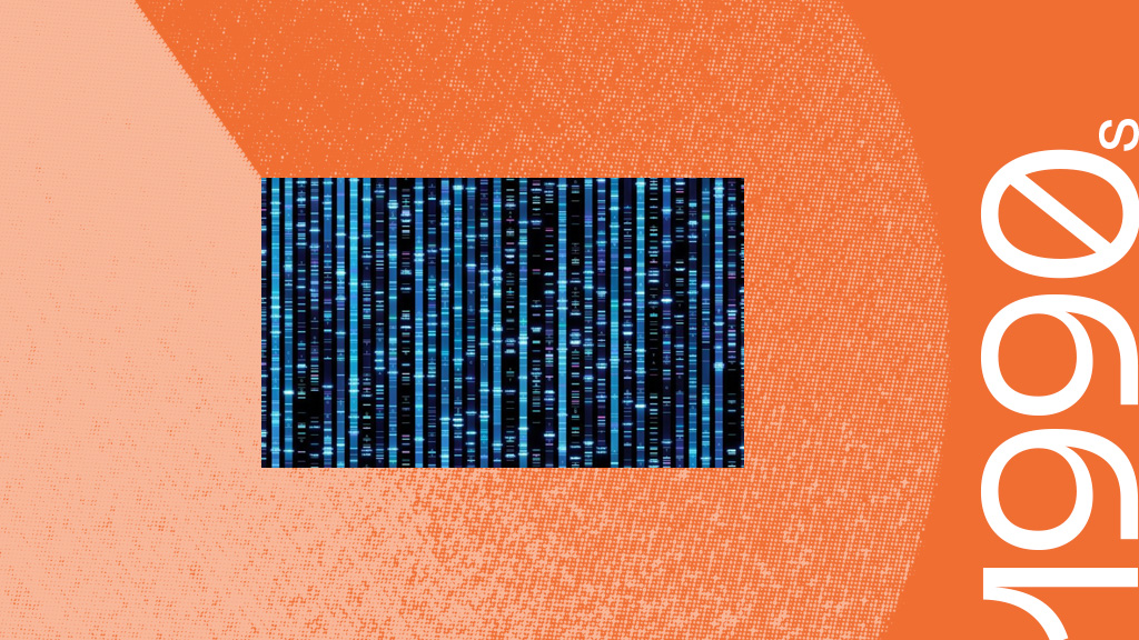 BioCyc database collection