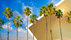 Earth Day at SRI: How science can sustain a changing planet