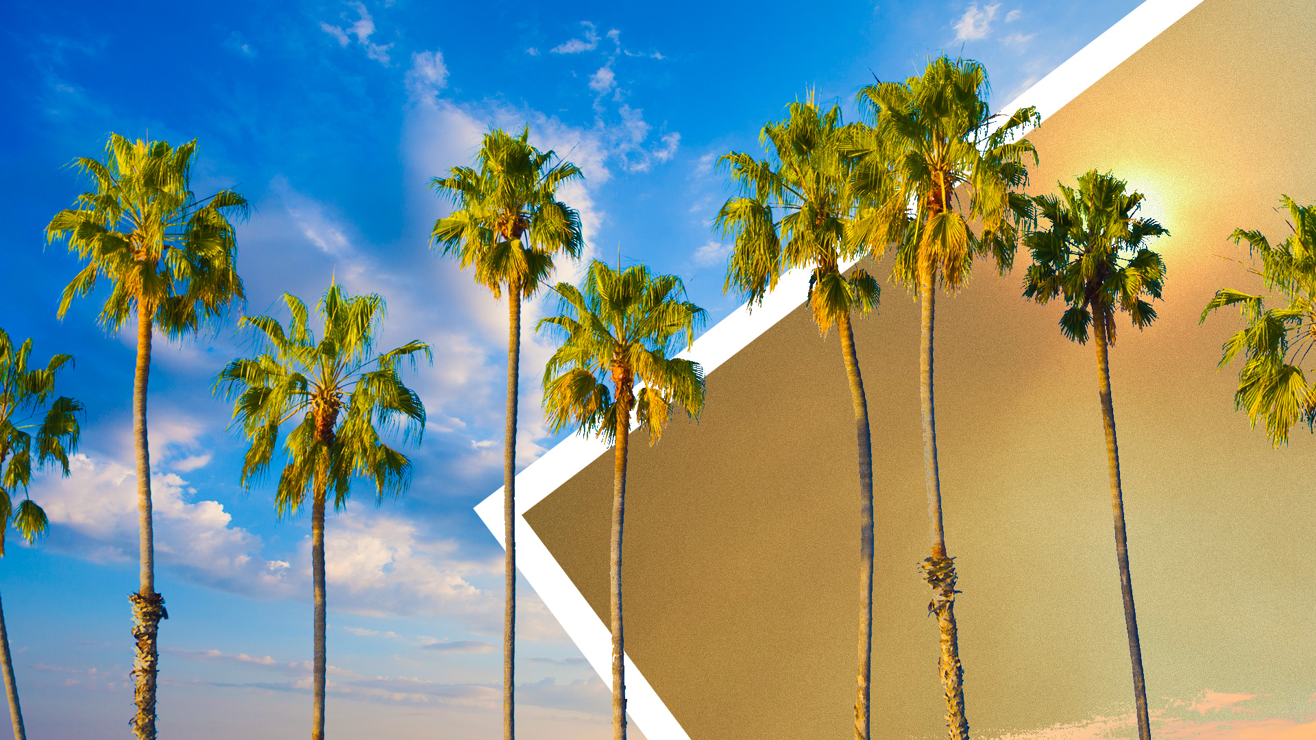 Palm trees and sky with and without smog