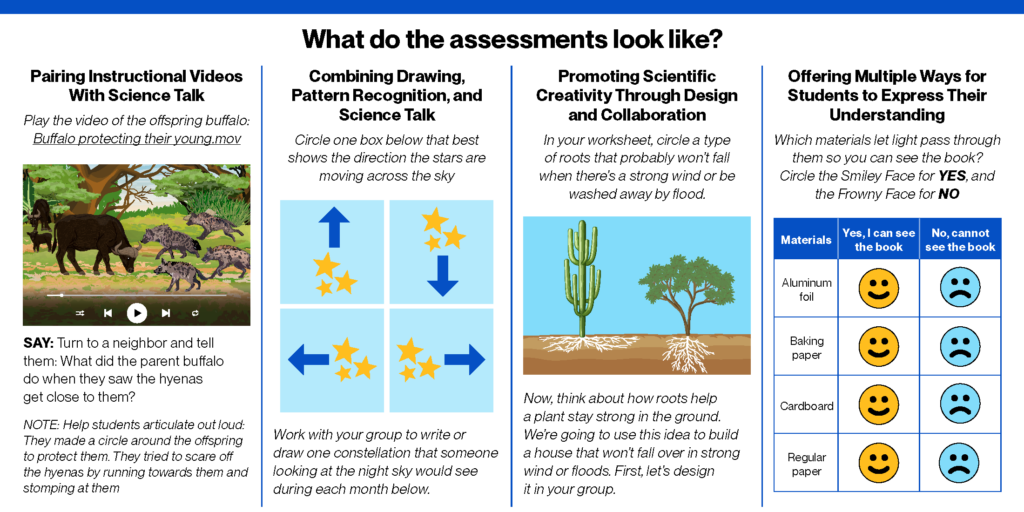 An infographic explaining SALDEE assessments. 