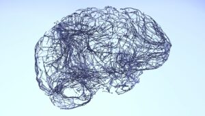 Can 0.2% of your brain control how you sleep?